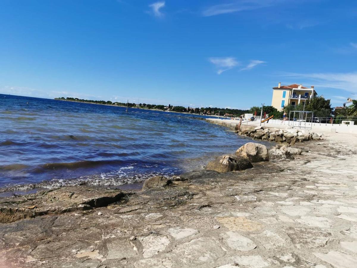 Apartament App Palcic K Novigrad  Zewnętrze zdjęcie
